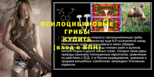 гидропоника Осинники