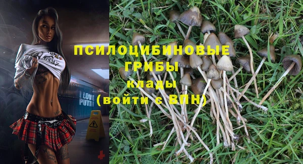 гидропоника Осинники
